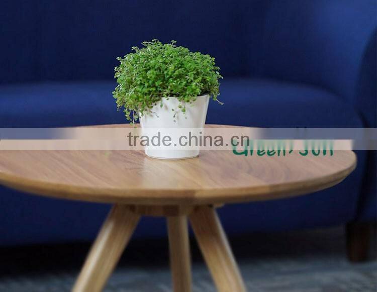 hydroponic bright color small plastic flower pot for home garden interior christmas decoration