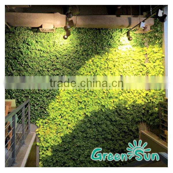 small hydropnics green house indoor vertical growing system