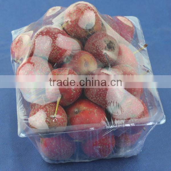 transparent eco-friendly disposable plastic food container