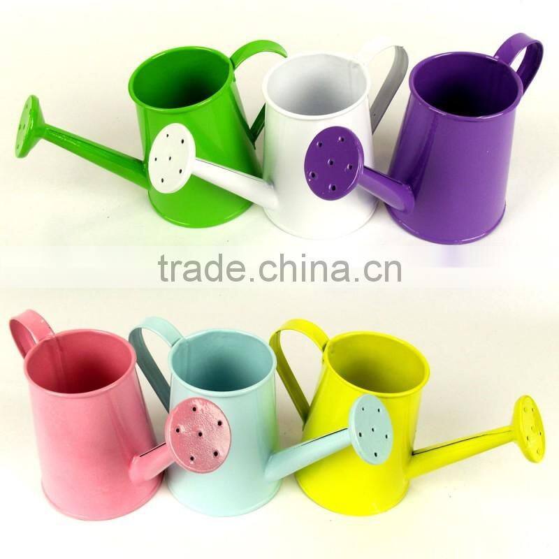 Mini Metal Watering Can