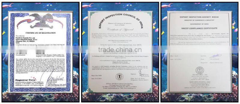 100% Fresh and Soft Best Quality Frozen Shrimps