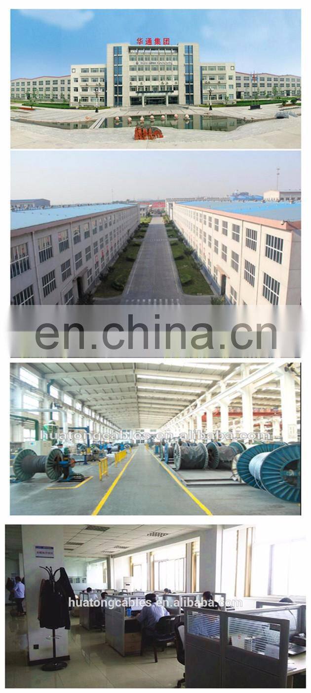 0.6/1KV U1000RVFV xlpe pvc wire cable armoured POWER CABLE