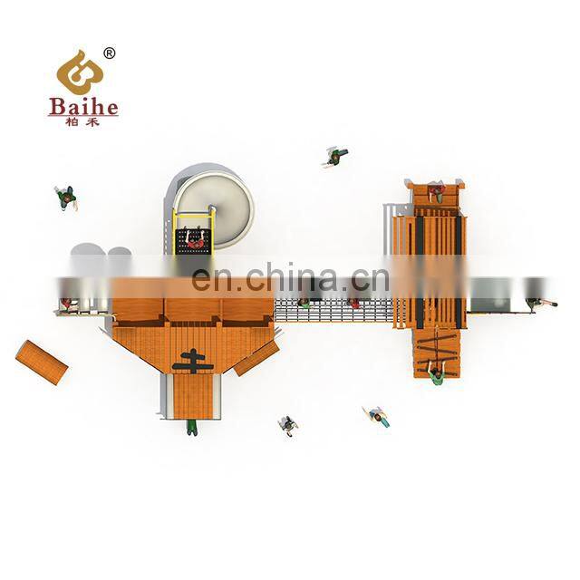 Custom Playground Tiger Style Children Outdoor Playground Equipment plastic Slide