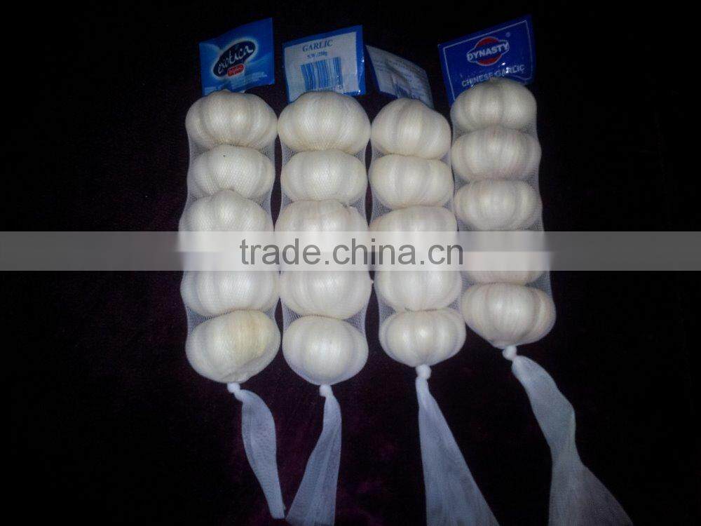 5.5CM Natural Fresh Red Garlic