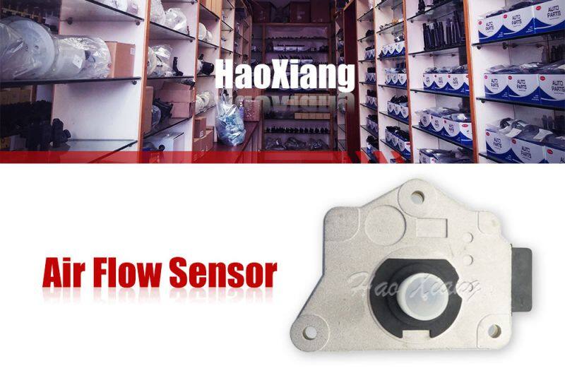 Top Quality Air Flow Sensor 16119-73C00  16119-73C0A  16119-73C0A  For Nissan  Sentra E SE XE GXE 1.6L D21 2.4L