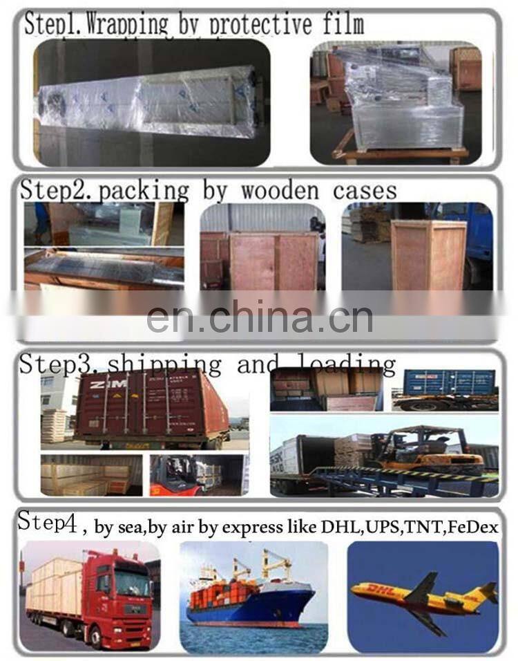 Cheap price semi automatic dried fig fruit multipack packaging machine