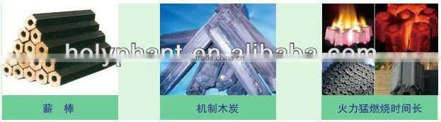 2013 Hot Sell Wood Charcoal briquette Making Line