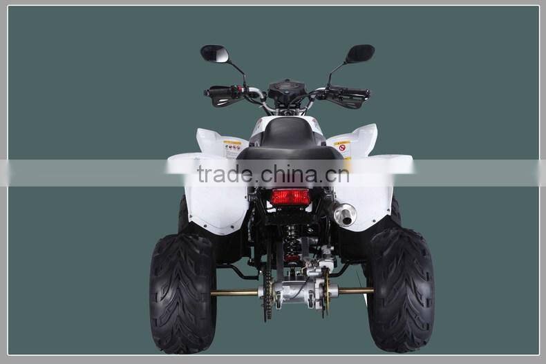 250cc ATV 4 stroke cool sports ATV