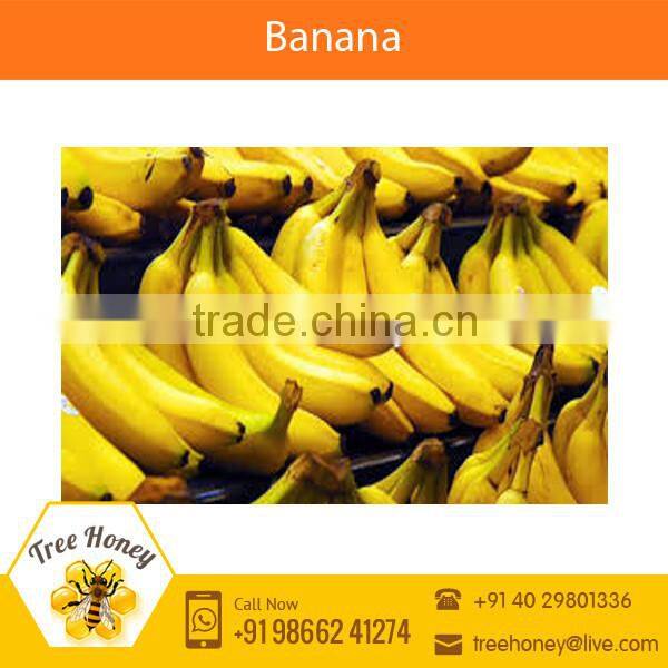 Fresh Yellow Banana for Sale