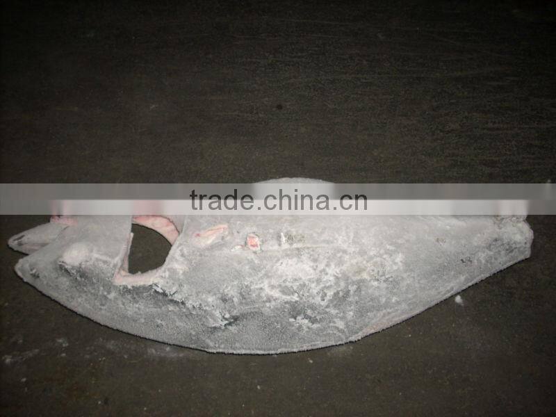 frozen whole yellowfin tuna