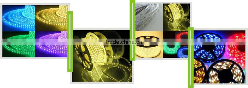 110V/220V IP67 smd5050 strip led light