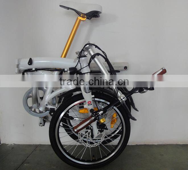 mini foldable electric bicycle/electric foldable bike
