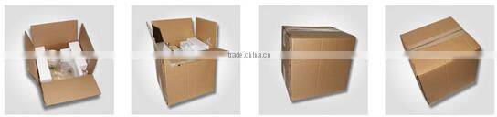 Curly Horn goat bust Skull wall hanging