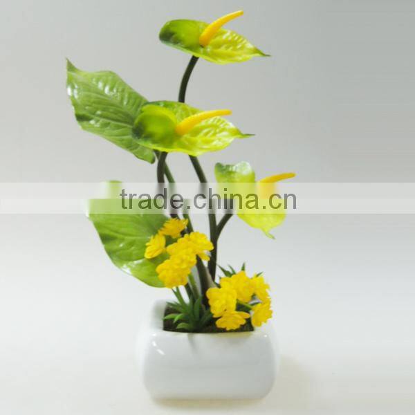 Indoor decorating pot flower calla lily