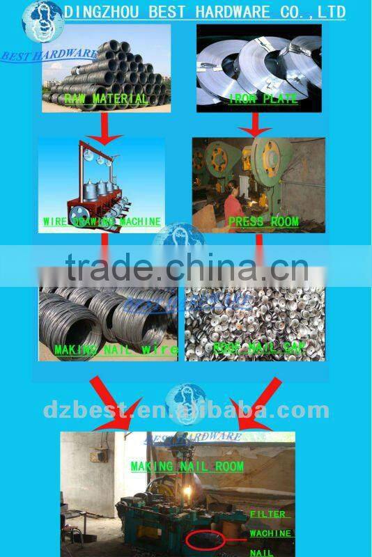 11 bwg galvanized corrugated roofing nail