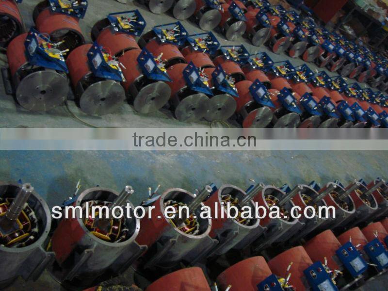 single phase generator 220v 1kw