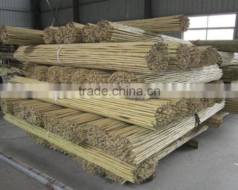 Homestar Cheap Bamboo Fence Designs / Natural cheap Roll bamboo fence For Sale