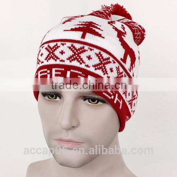 winter hat custom beanie hat