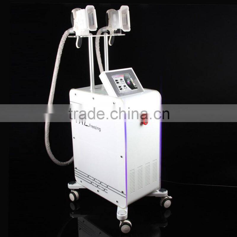 2016 hot sale Double Handpiece Cooling Operation Fat Freeze Weight Loss