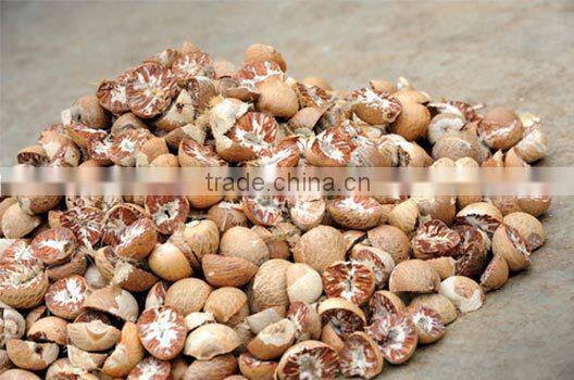 VIETNAM SPLIT BETEL NUT/ SLICE BETEL NUT FOR SALES / WHOLE NUT CROP 2015