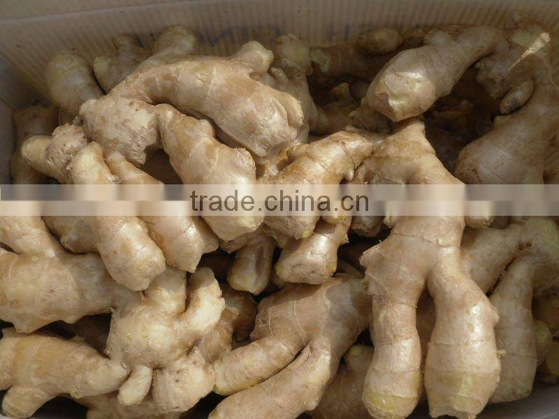 Fresh air dried ginger