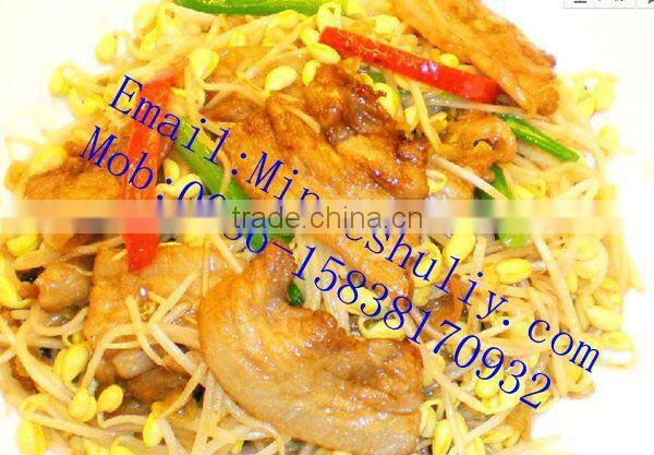 75kg per day black bean sprouts making machine