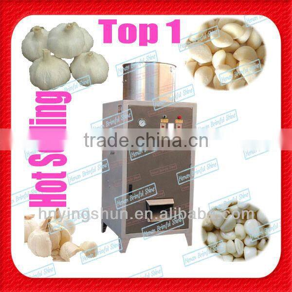 2013 low price garlic fresh garlic