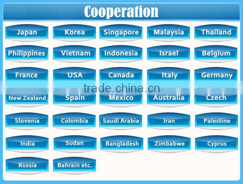 China synthetic mica powder