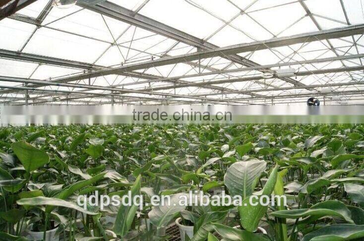 Best Quality Push-pull/heavy hammer Greenhouse Exhaust Fan