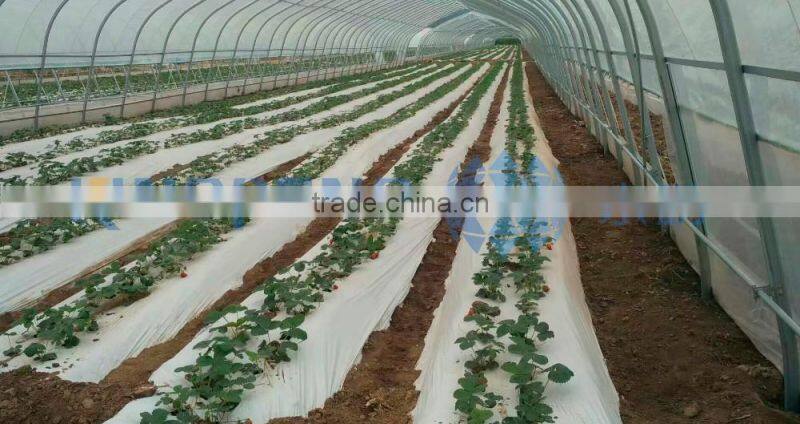 plastic grow tunnel for vegetable growing
