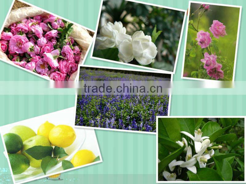 50L Stainless steel essential oil steam distillation hot sale