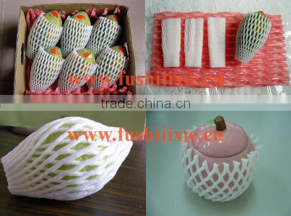 apple foam net extruder