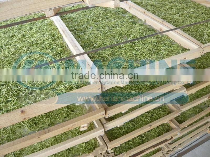 Commercial vegetable and fruit and Green tea drying machine