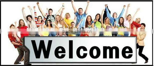 0.6-36mm 316 Galvanized Steel Wire Rope