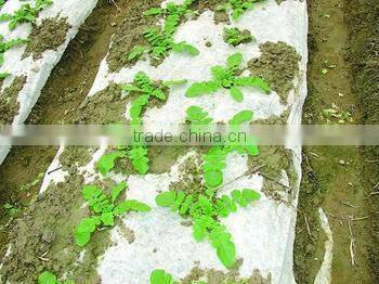 high quality PE agriculture film