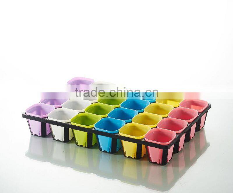 Plastic 24 Divided Plastic Material Hydroponic seedling trays
