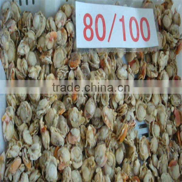 Chinese frozen wholesale bay scallop maufacturers