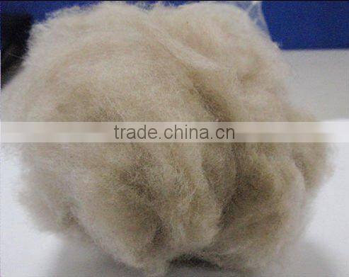 Dehaired GoatsWool Cashmere