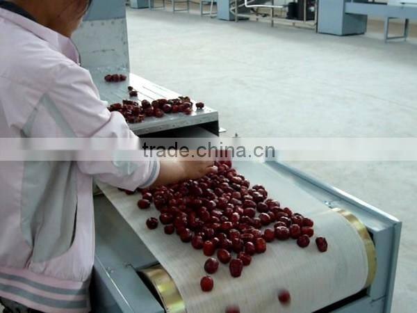 Raisin Microwave Drying Sterilization Machine