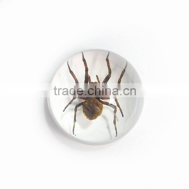 Promotional gifts clear semicircle crystal desktop ornament