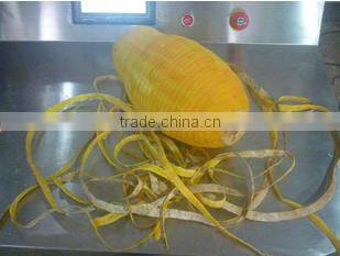 Good price pumpkin peeler/pineapple peeling machine/cantaloupe peeling machine