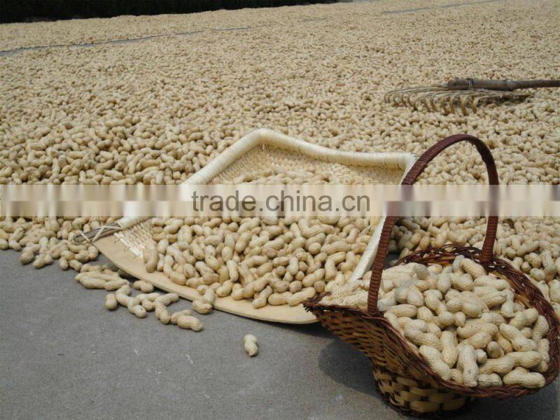 chinese best selling products new raw materials raw peanuts prices
