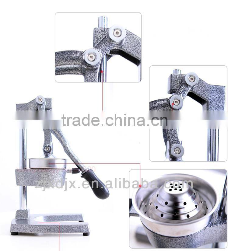 champion masticating juicer