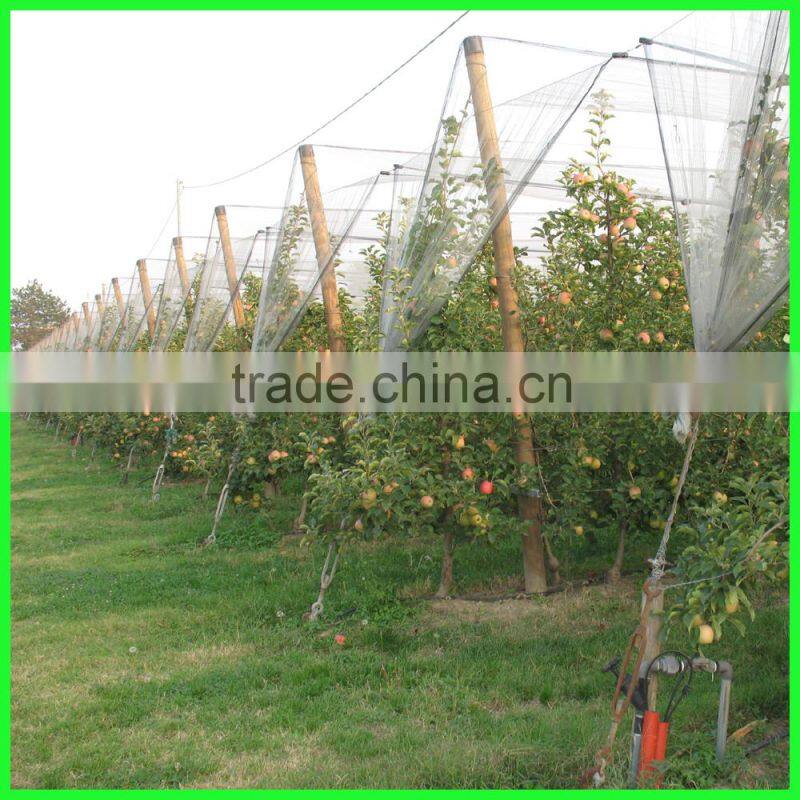 woven fabric PE guard hail mesh plastic fruit tree netting