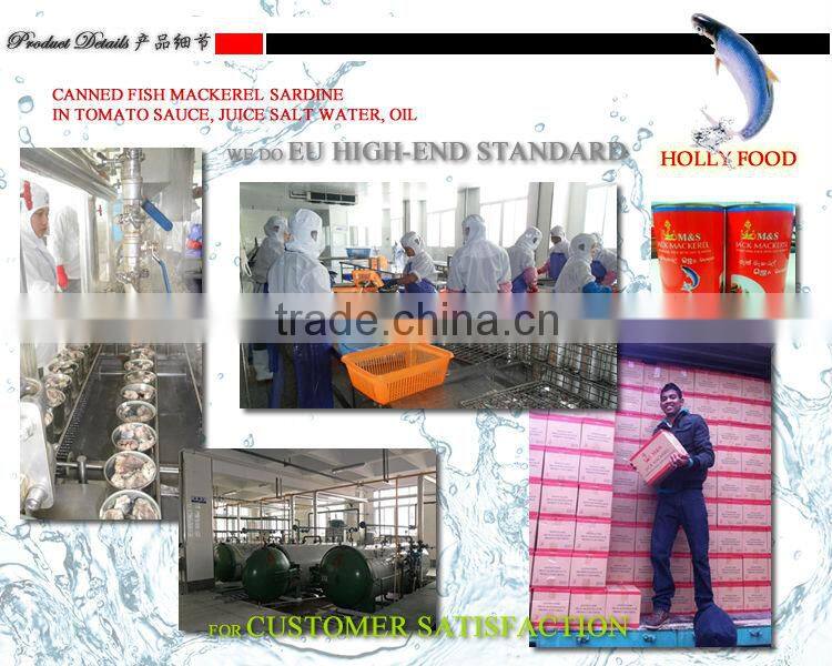 CANNED FISH 425g/185g/125g mackerel sardine in tomato sauce southest asia middle east america west africa ecowas EU east europe