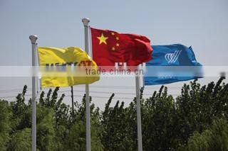 Airport VIP luggage trolley