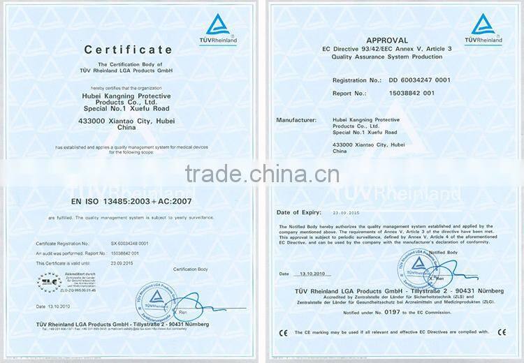 Polypropylene Cleanroom Face Mask with Earloops