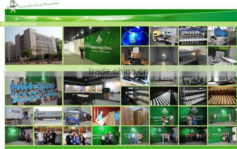 110V/220V IP67 smd5050 strip led light