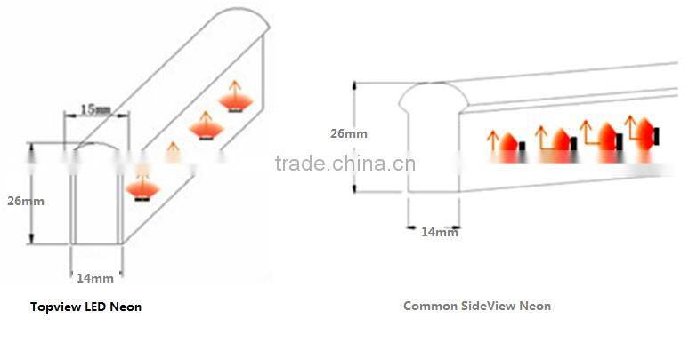 Trade assurance professional top view led neon tube factory