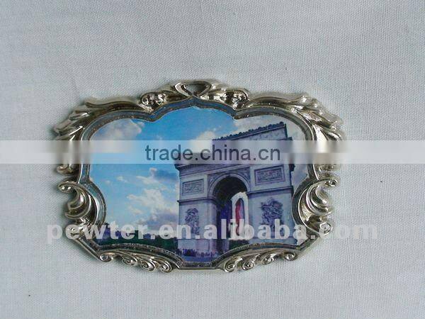 2012 dragonfly fridgemagnet 0073